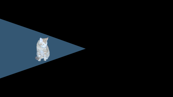 A cat standing inside the blue cone of a spotlight against a black background.