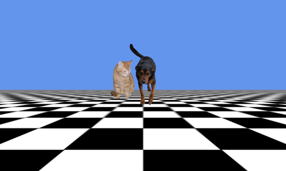 An orange cat and black dog on a checkerboard ground beneath a blue sky.