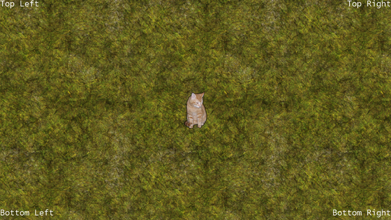 A cat on a tiled grass background with labels aligned to all four title-safe corners.
