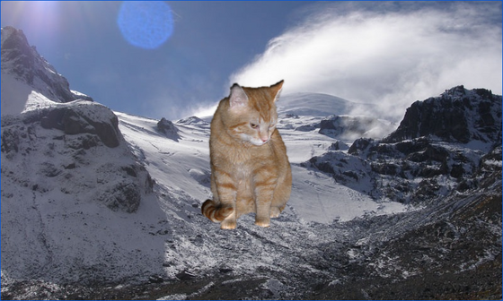 A cat lit by an animated normal map over a snowy glacier background.